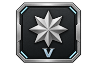 Lieutenant Colonel V · Lv.46