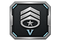 Command Sergeant Major V · Lv.21